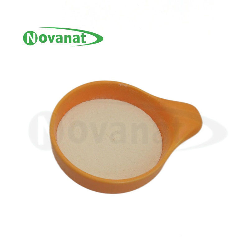 Saccharomyces boulardii SB06/200 亿 CFU/g/Vegan/ Free（过敏原/麸质/乳制品
