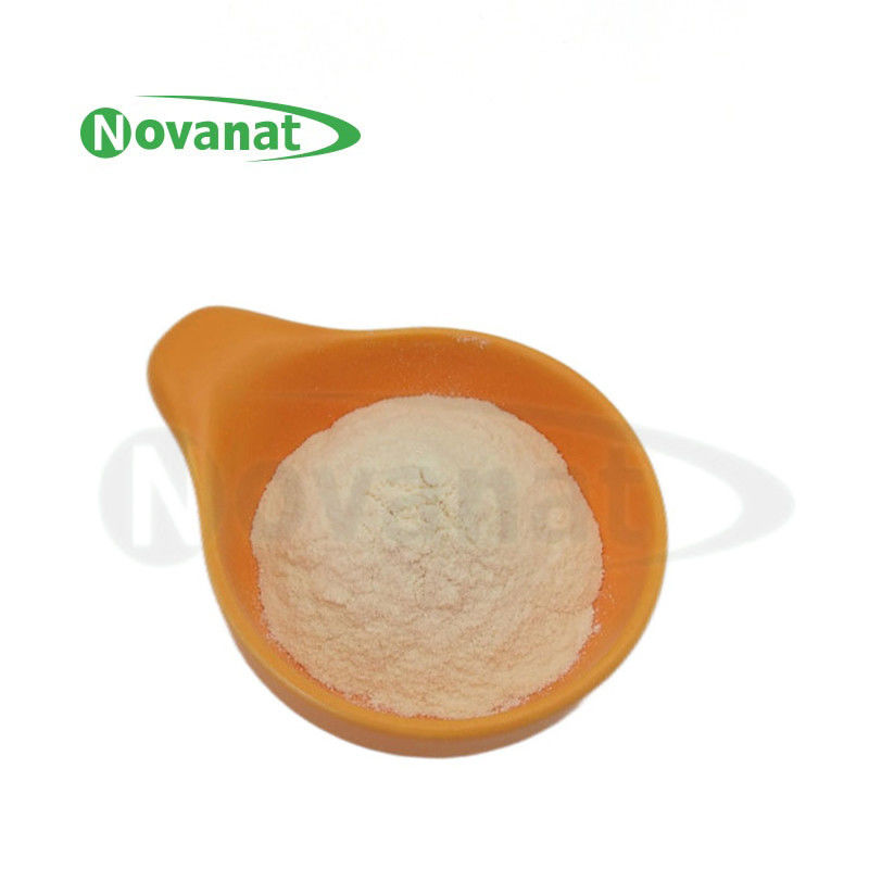 乳酸双歧杆菌 BI516/Vegan/ Free (Allergen/Gluten/Dairy)/ Women's Health