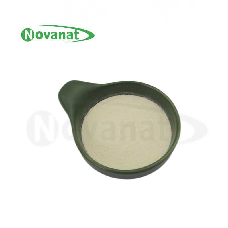 Lactobacillus Crispatus LCR15 益生菌粉素食/免费（过敏原/麸质/乳制品）女性健康