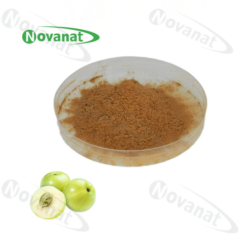 Phyllanthi Fructus Extract 25% 多酚/细黄粉/清洁标签