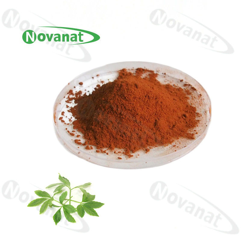 绞股蓝提取物草本提取物粉末 20% 80% 90% Gypenosides