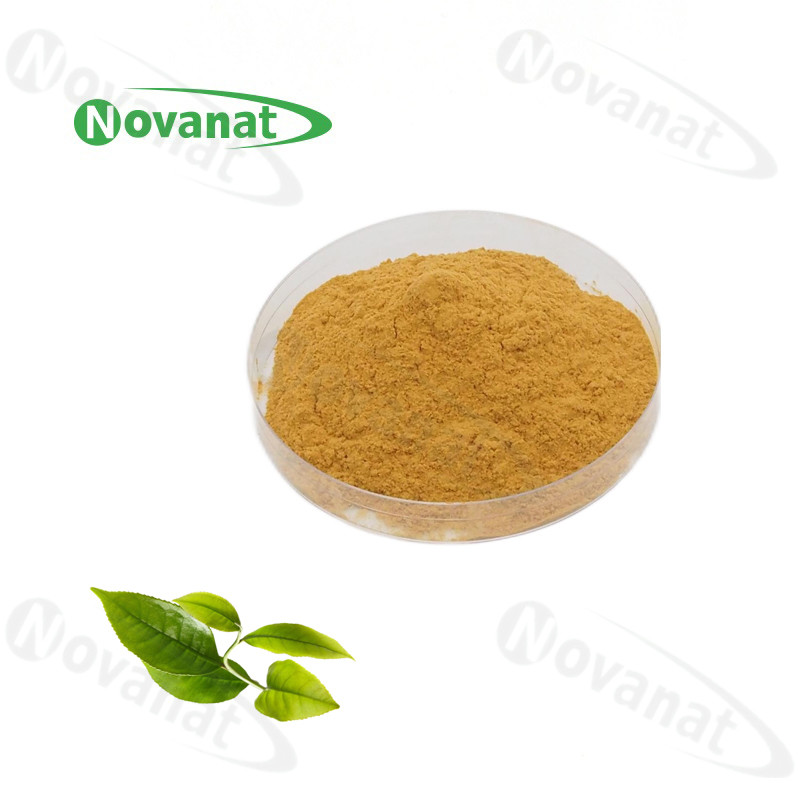 Green Tea Extract Powder 98 Tea Polyphenols / 50 EGCG / Decaffeinated
