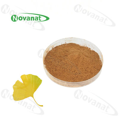 Ginkgo Biloba Leaf Extract USP/E.P/CP/Dietary Supplements Ingredients/100% Natural/Clean Label/Allergen Free